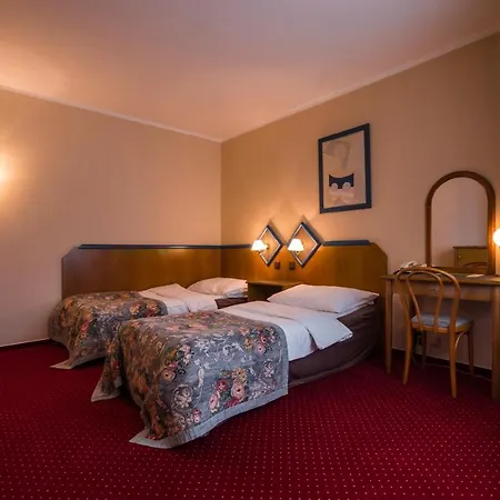 Concertino Zlata Husa Hotel