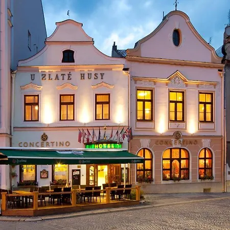 Concertino Zlata Husa Hotel