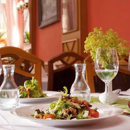 Concertino Zlata Husa Hotel 4*