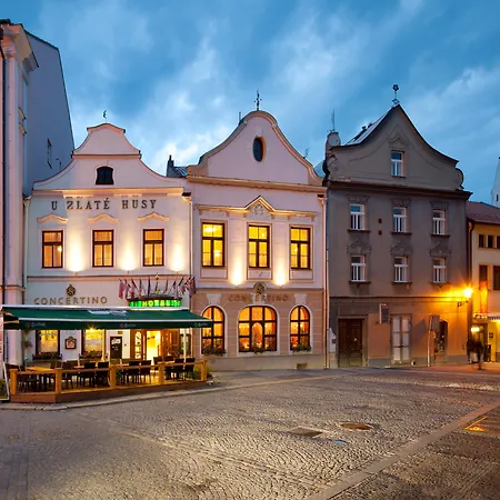 Concertino Zlata Husa Hotel 4*