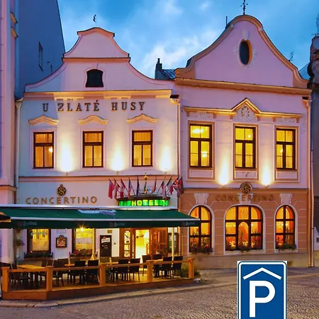 Hotel Concertino Zlata Husa 4*