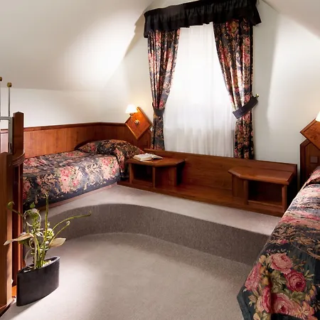 Concertino Zlata Husa Hotel Jindřichŭv Hradec