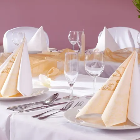 Hotel Concertino Zlata Husa 4*