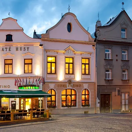 Concertino Zlata Husa Hotel 4*