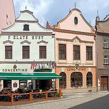 Concertino Zlata Husa 4* Jindrichuv Hradec